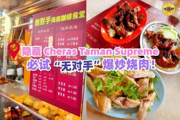 Delicious Chicken Rice - 美味鸡饭